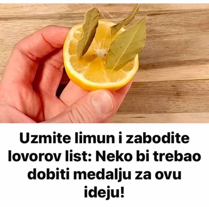 uzmite-limun-i-zabodite-l0v0r0v-list:-neko-bi-treba0-dobiti-medalju-za-0vu-ideju!