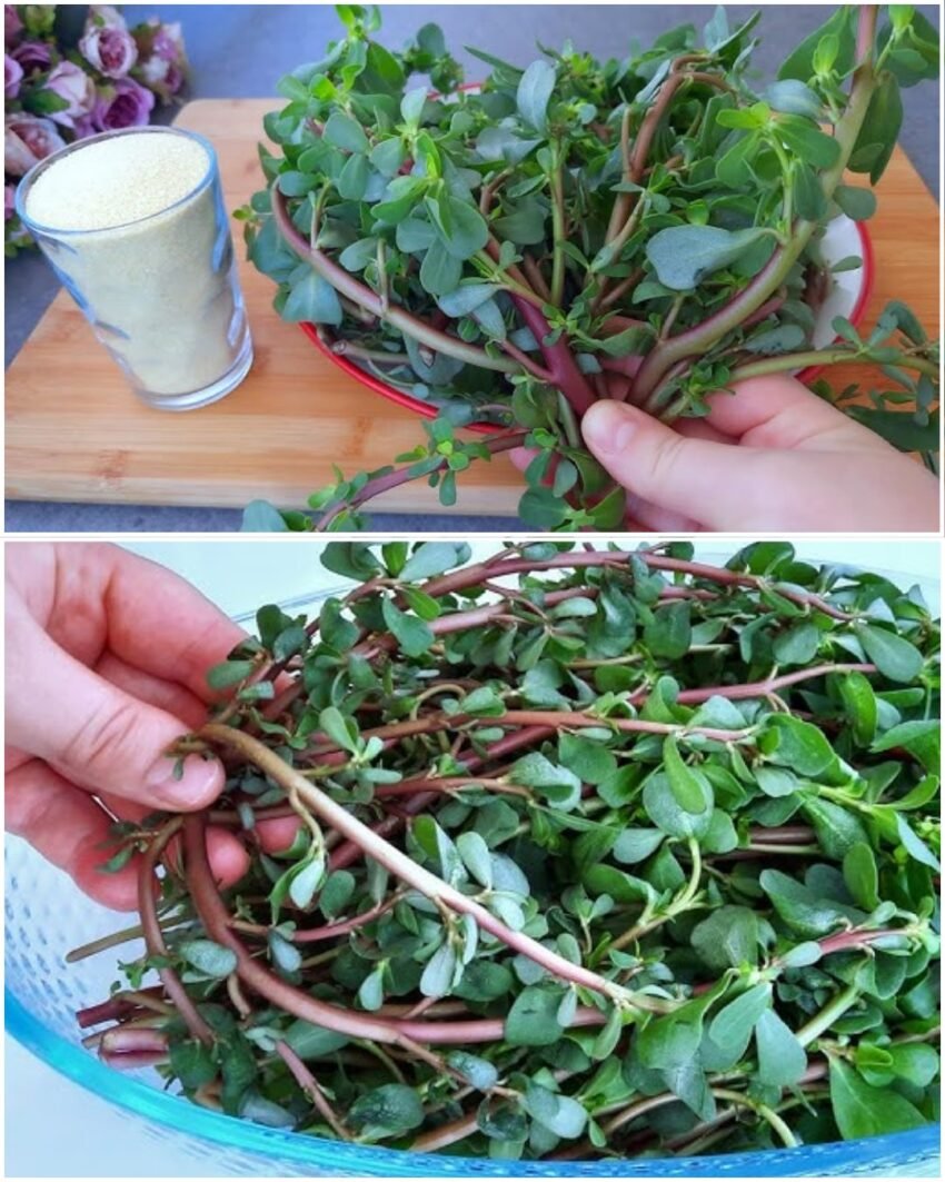 recept-za-tust-iz-turske-–-nevjerovatno-ukusan-i-zdrav,-a-raste-svuda!