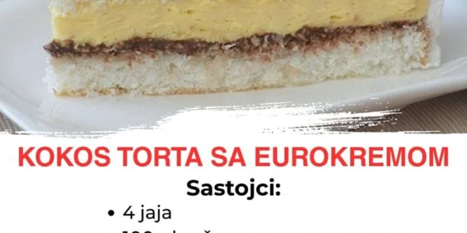 savrsen-spoj-kokosa-i-cokolade-–-kokos-torta-sa-eurokremom