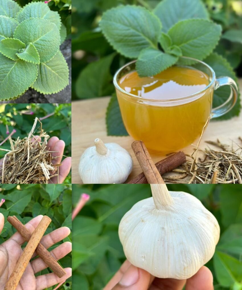 ovaj-recept-spasio-mi-je-zdravlje-–-vise-nemam-bolove-ni-oticanje!