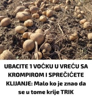 ubacite-1-vocku-u-vrecu-sa-krompirom-i-sprijecicete-klijanje:-malo-ko-je-znao-da-se-u-tome-krije-trik