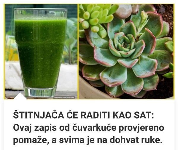 imate-li-problema-sa-stitnjacom?-ovaj-prirodni-zapis-od-cuvarkuce-provjereno-pomaze,-evo-kako-da-ga-napravite!