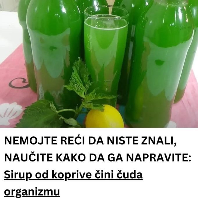 sirup-od-koprive-cisti-krv,-jaca-imunitet-i-vraca-snagu-–-evo-kako-da-ga-napravite!