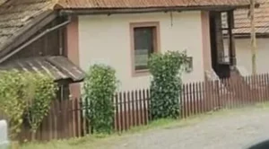 drvo-koje-nikada-ne-treba-saditi-u-dvoristu:-tjera-srecu-iz-kuce-i-unosi-negativnu-energiju