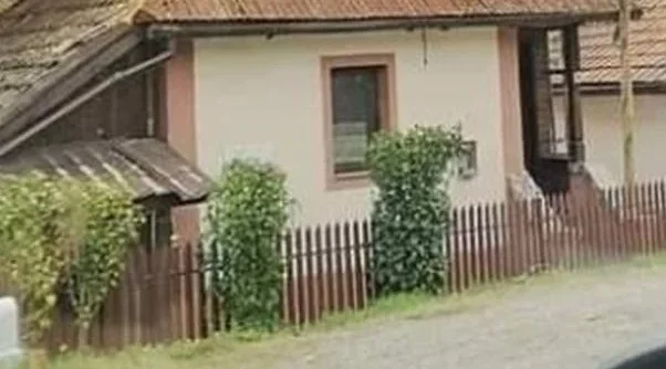 drvo-koje-nikada-ne-treba-saditi-u-dvoristu:-tjera-srecu-iz-kuce-i-unosi-negativnu-energiju