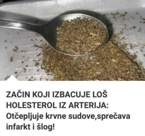 zacin-koji-izbacuje-los-holesterol-iz-arterija:-otcepljuje-krvne-sudove,-sprecava-infarkt!