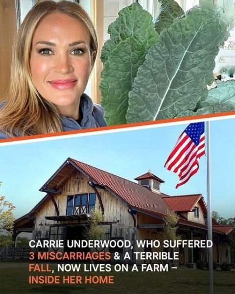 inside-carrie-underwood’s-farm-where-she-grows-her-own-veggies-&-cares-for-chickens-–-pics