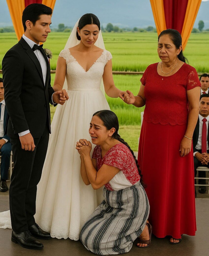 on-my-son’s-wedding-day,-the-maid-rushed-to-the-stage—her-confession-changed-everything-i-thought-i-knew-about-my-family